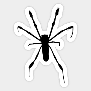 NEPHILA CLAVIPES 2 Sticker